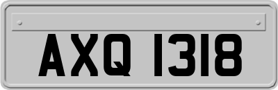 AXQ1318