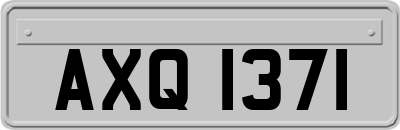 AXQ1371