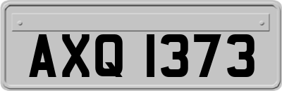 AXQ1373