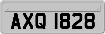 AXQ1828