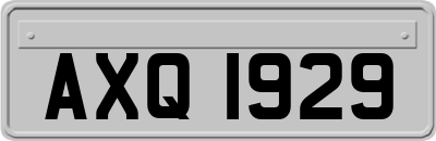 AXQ1929
