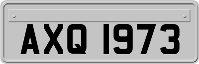 AXQ1973