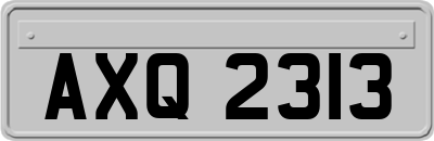 AXQ2313
