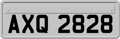 AXQ2828