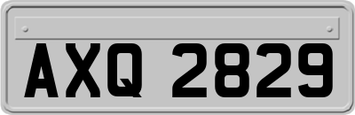 AXQ2829