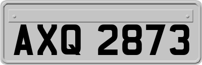 AXQ2873