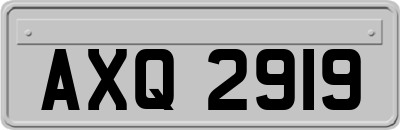 AXQ2919