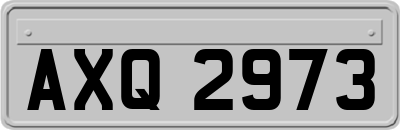AXQ2973