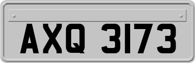 AXQ3173