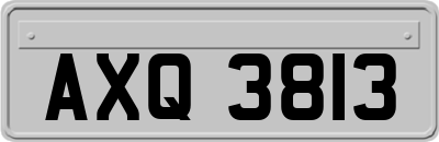 AXQ3813