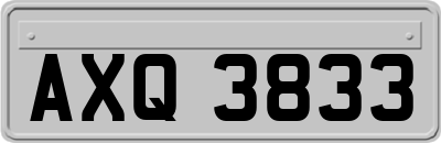 AXQ3833