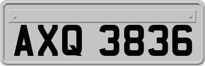 AXQ3836