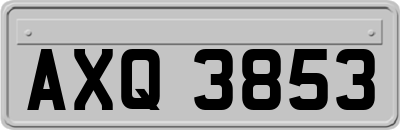 AXQ3853