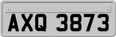 AXQ3873