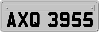 AXQ3955