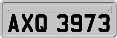 AXQ3973