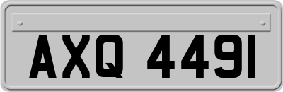 AXQ4491