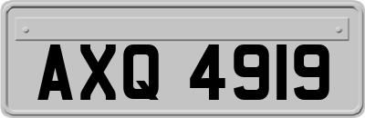 AXQ4919