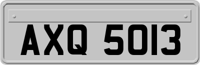 AXQ5013