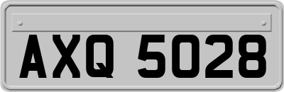 AXQ5028