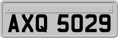 AXQ5029