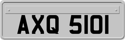 AXQ5101