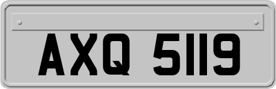 AXQ5119