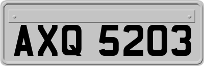AXQ5203