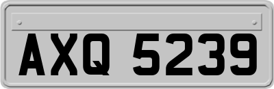 AXQ5239