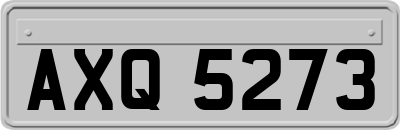 AXQ5273