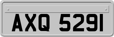 AXQ5291