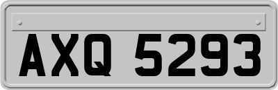 AXQ5293