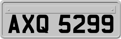 AXQ5299