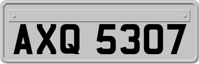AXQ5307