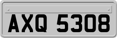 AXQ5308
