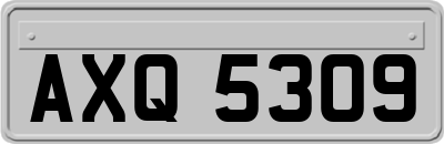 AXQ5309
