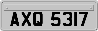AXQ5317