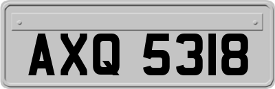AXQ5318