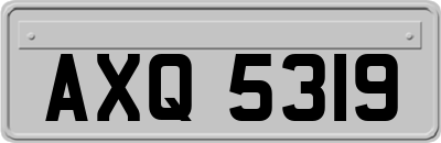 AXQ5319