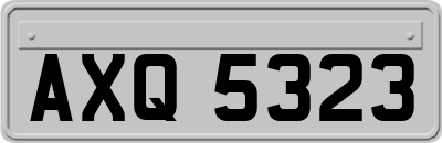 AXQ5323