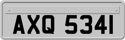 AXQ5341