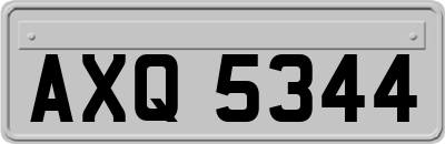 AXQ5344