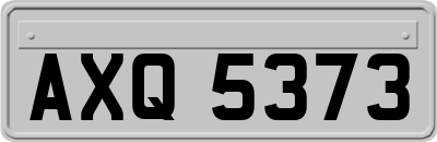 AXQ5373