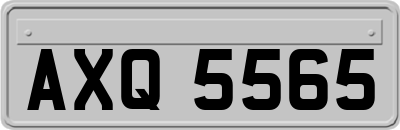 AXQ5565