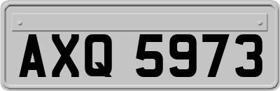 AXQ5973