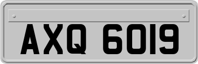 AXQ6019