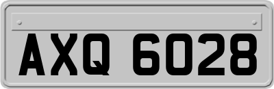 AXQ6028