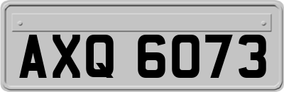 AXQ6073