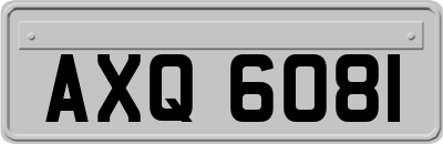 AXQ6081