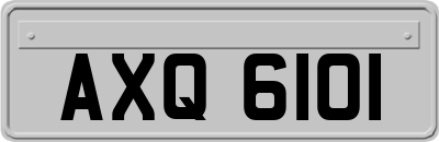 AXQ6101